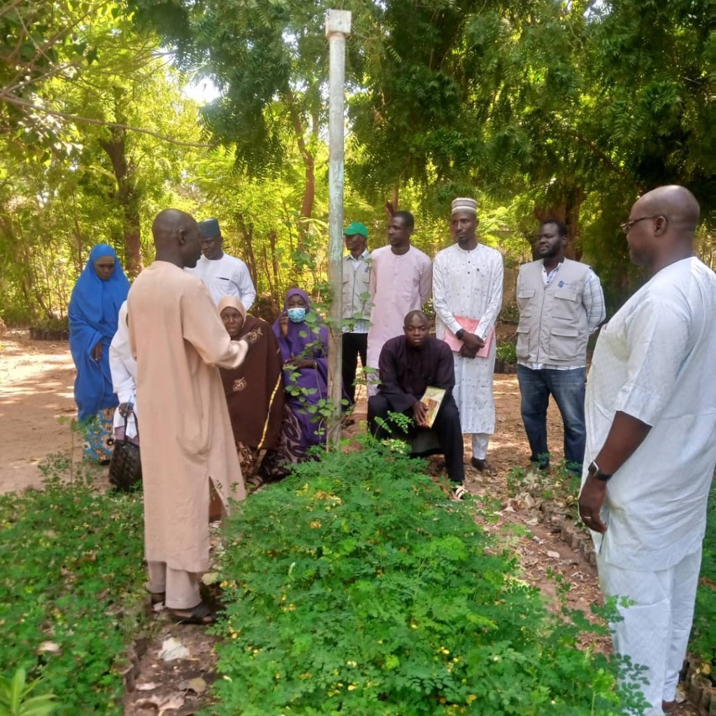 Supply of Equipment and Material Goods for Projects